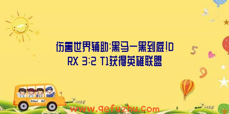 伤害世界辅助:黑马一黑到底!DRX